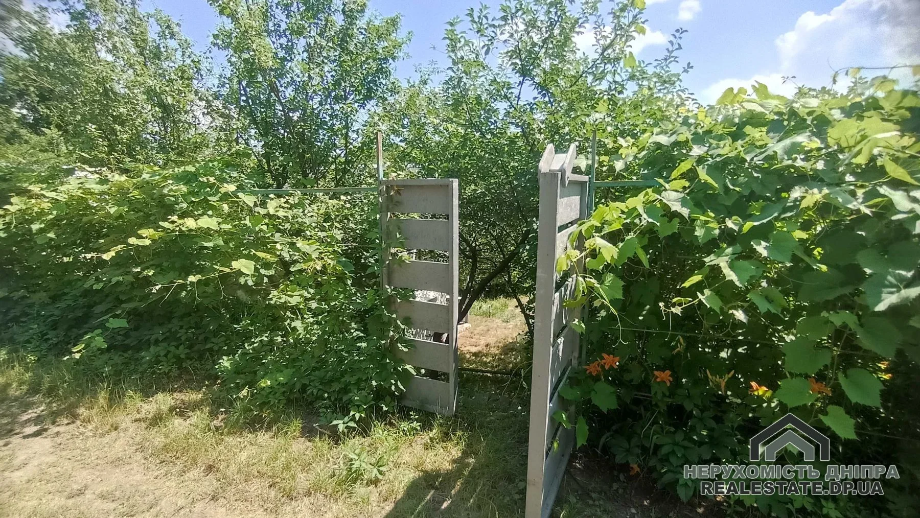 Продам недорого дачу в Таромском 8 соток · 4