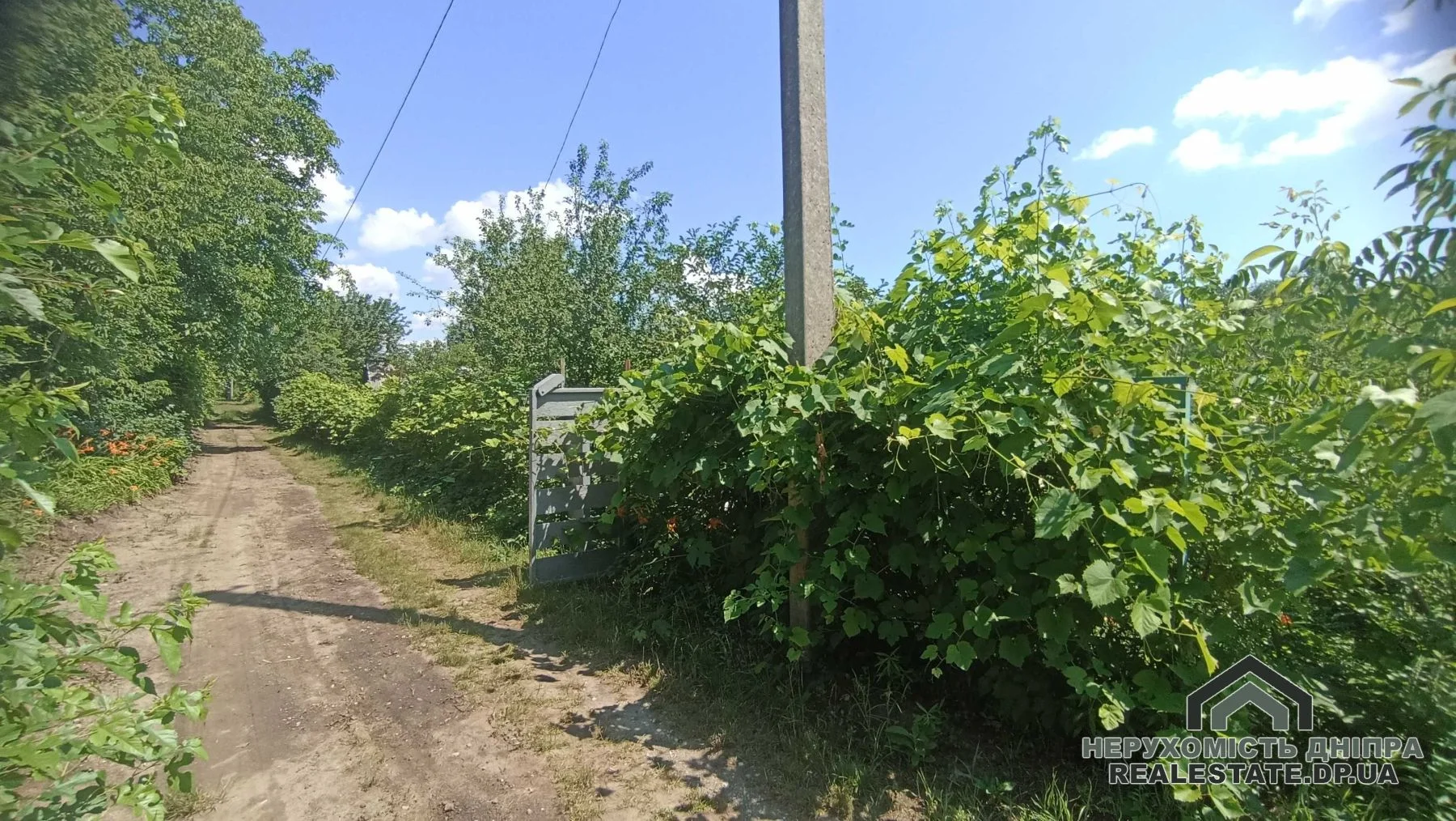 Продам недорого дачу в Таромском 8 соток · 3